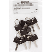 10 Pack Spare keys 